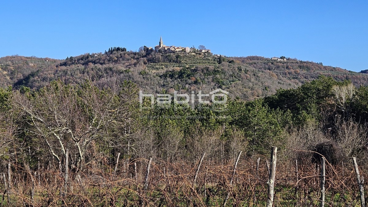 Zona di Grisignana - Casa in pietra, edificio attraente. e agricoltura. terreno con una bellissima vista su Grisignana