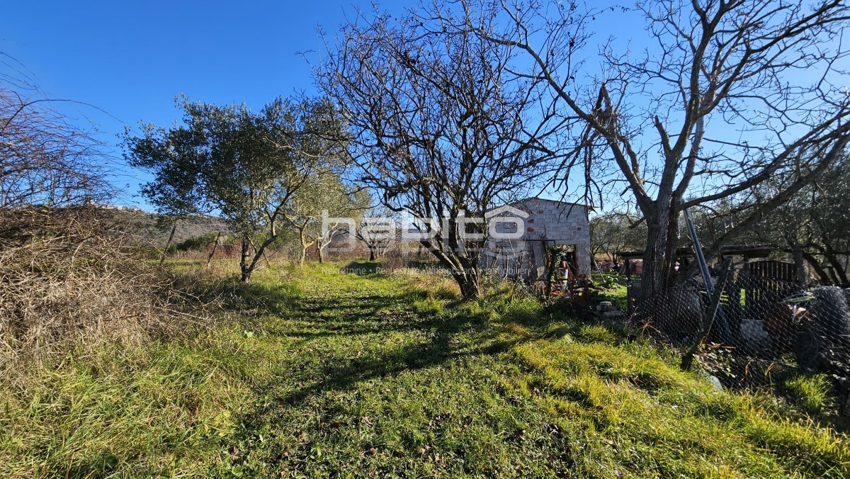 Zona di Grisignana - Casa in pietra, edificio attraente. e agricoltura. terreno con una bellissima vista su Grisignana