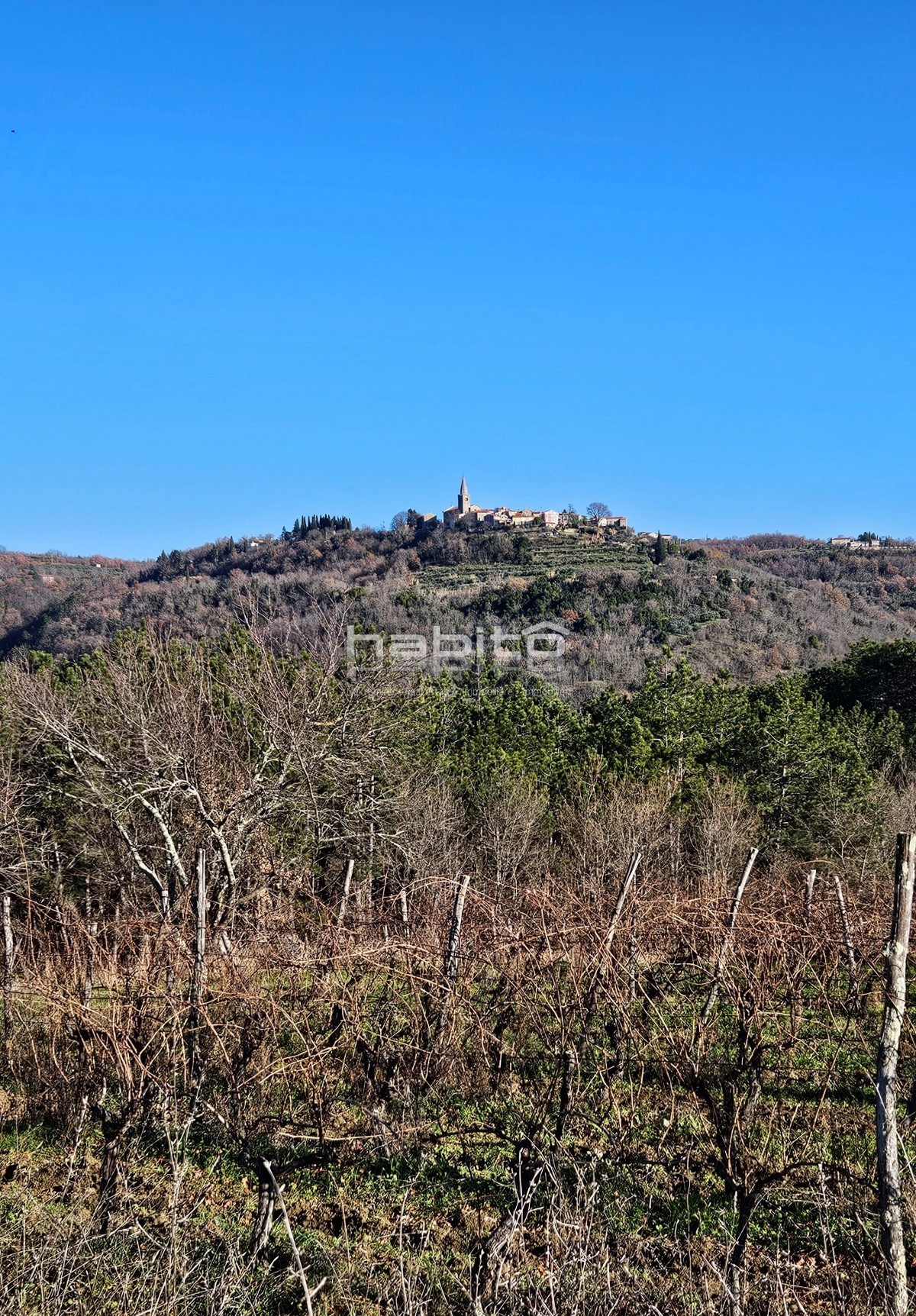 Zona di Grisignana - Casa in pietra, edificio attraente. e agricoltura. terreno con una bellissima vista su Grisignana