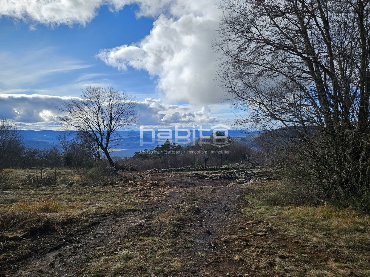 Oprtalj, Zrenj - Terreno edificabile e agricolo VISTA PANORAMICA