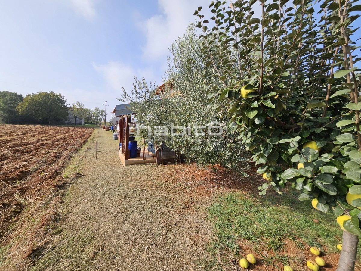 Parenzo 10 km - Terreno edificabile e agricolo a soli 8 km dal mare