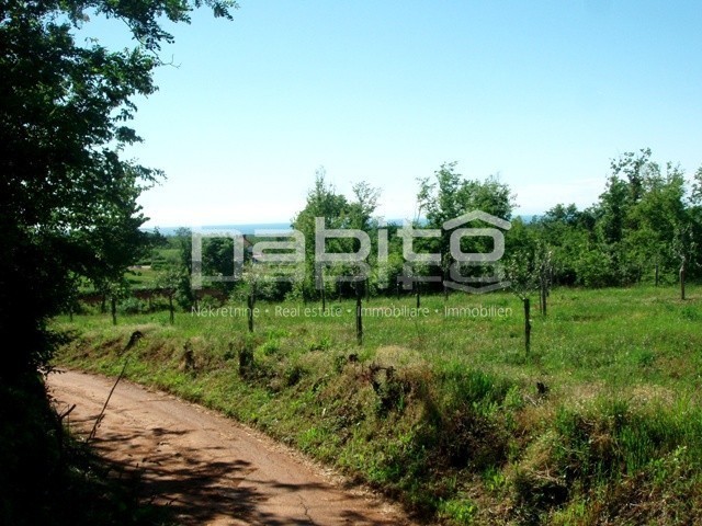 VIZINADA 3 km - Terreno edificabile di 4611 m2 con vista sul mare!