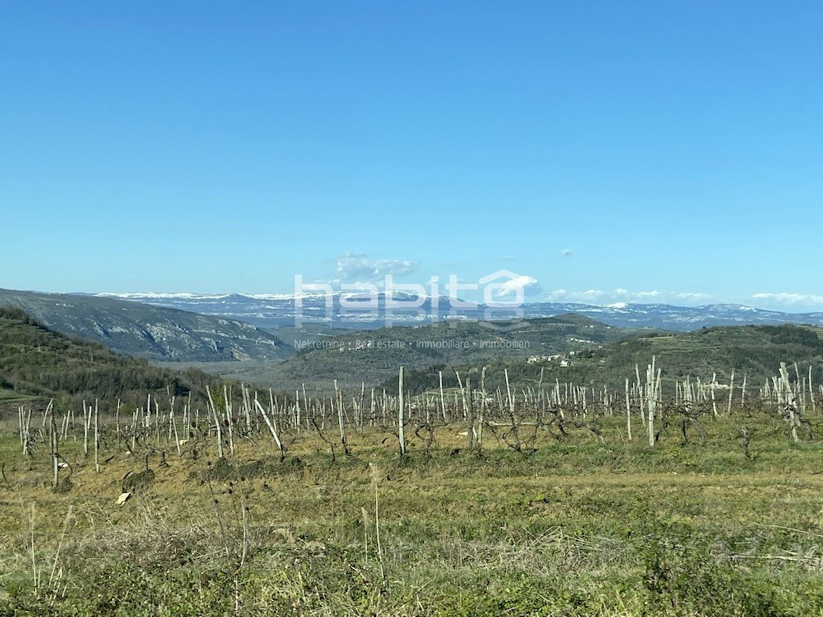 Dintorni di Montona - Terreno edificabile con permesso di costruire una bella villa con vista su Montona