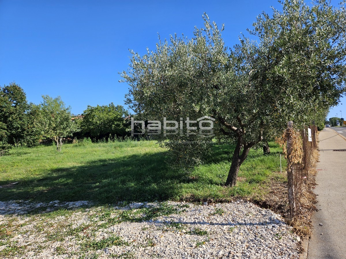 Parenzo 10 km, Kastelir - Terreno edificabile con vista mare