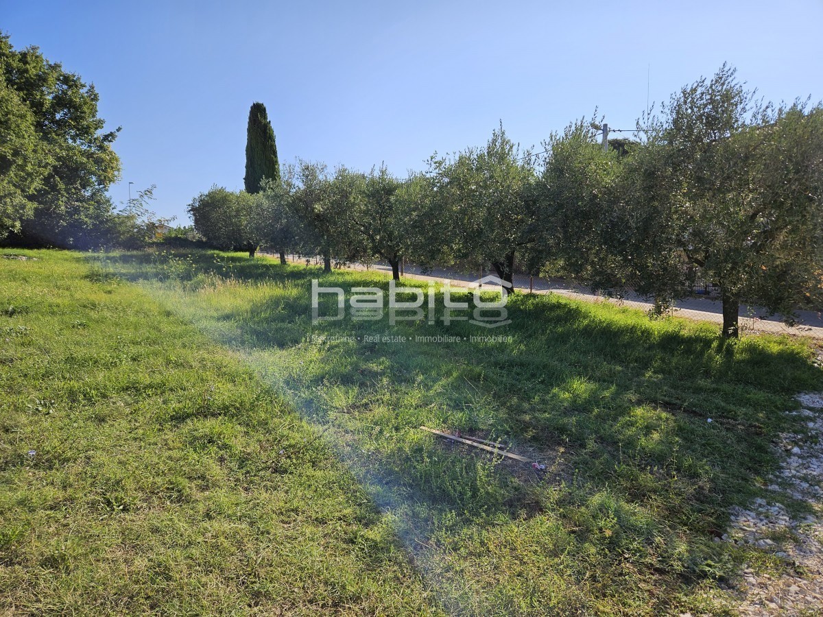 Parenzo 10 km, Kastelir - Terreno edificabile con vista mare