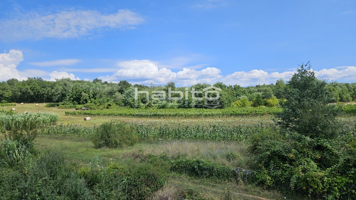 Zona Parenzo, Visignano - Terreno edificabile in posizione tranquilla