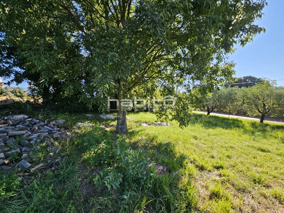 Parenzo 10 km, Kastelir - Terreno edificabile con vista mare