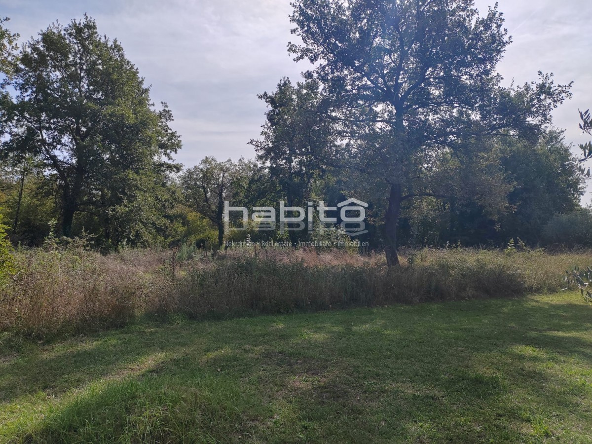 OPPORTUNITÀ DI INVESTIMENTO: Attraente terreno vicino a Parenzo