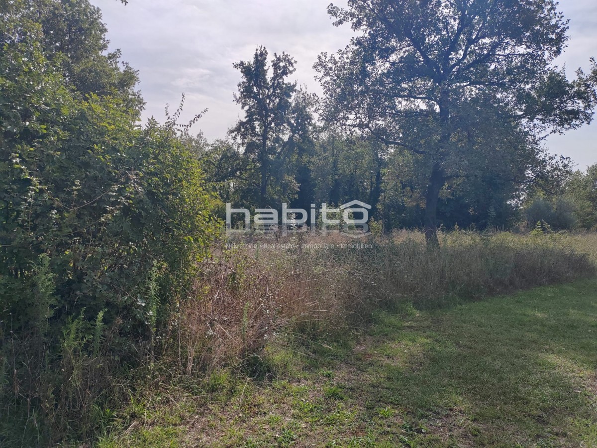 OPPORTUNITÀ DI INVESTIMENTO: Attraente terreno vicino a Parenzo