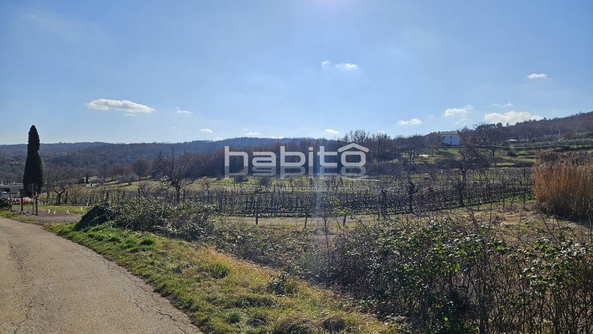 Terreno edificabile residenziale – dintorni di Montona (Motovun)
