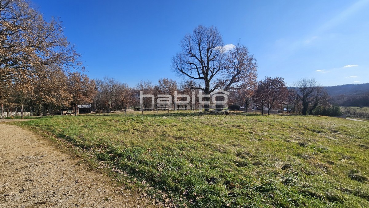 Terreno edificabile residenziale – dintorni di Montona (Motovun)