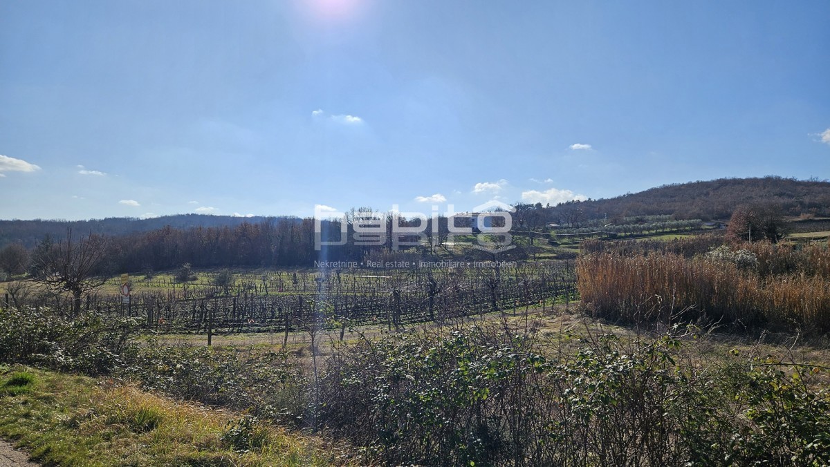 Terreno edificabile residenziale – dintorni di Montona (Motovun)