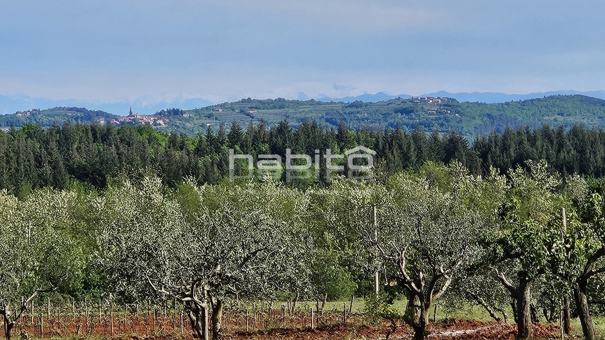 Parenzo 13 km - COSTRUISCI ORA! Terreno edificabile + agricolo con bellissima vista aperta + permesso di costruzione