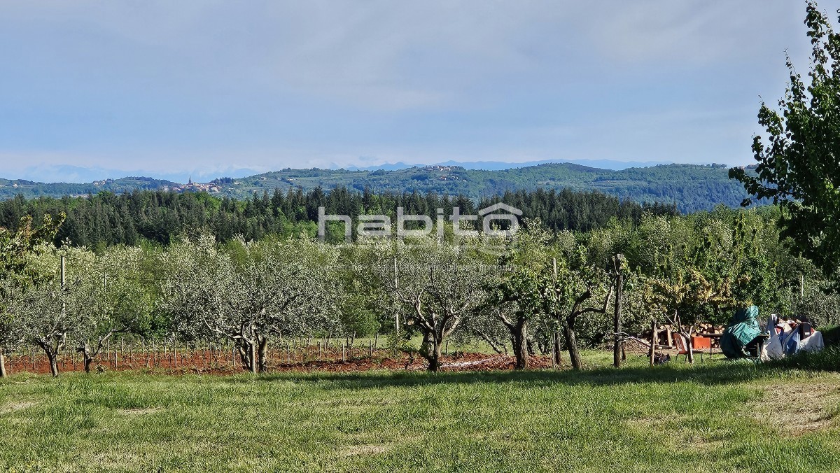 Parenzo 13 km - COSTRUISCI ORA! Terreno edificabile + agricolo con bellissima vista aperta + permesso di costruzione