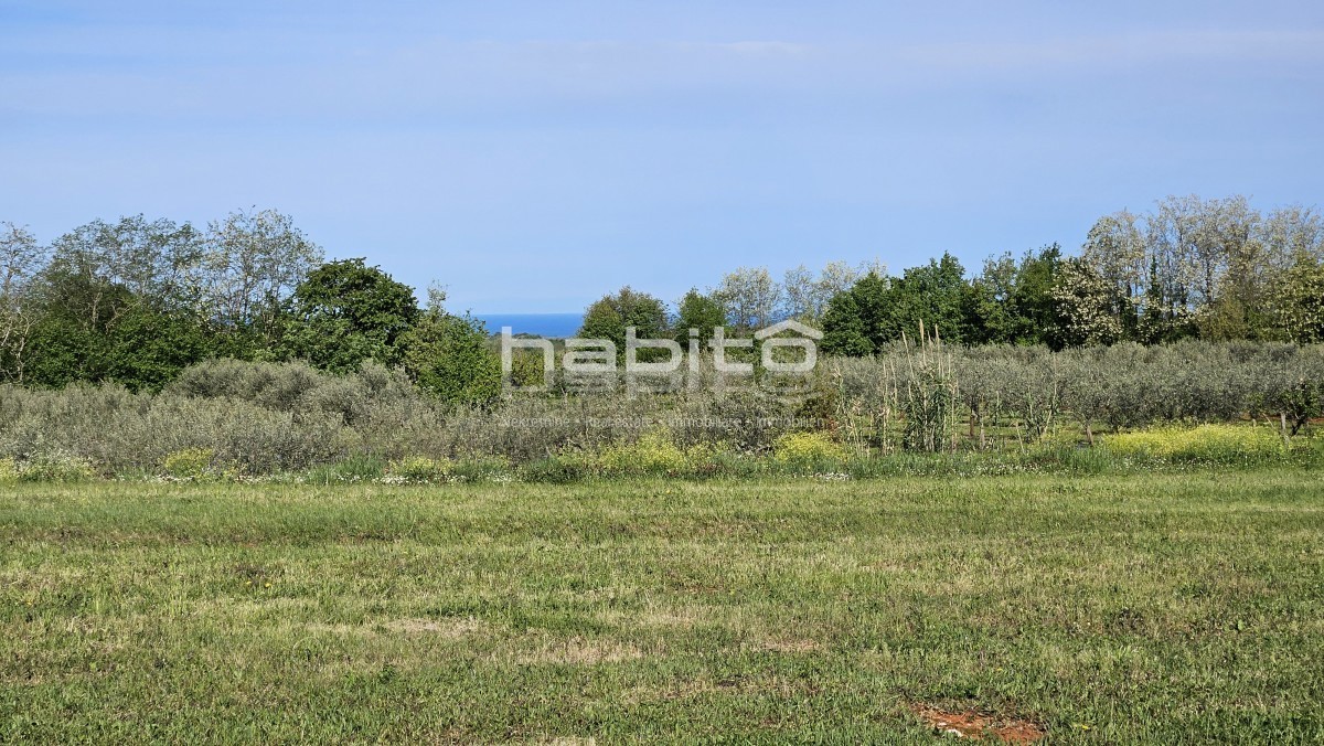 Parenzo 13 km - COSTRUISCI ORA! Terreno edificabile + agricolo con bellissima vista aperta + permesso di costruzione