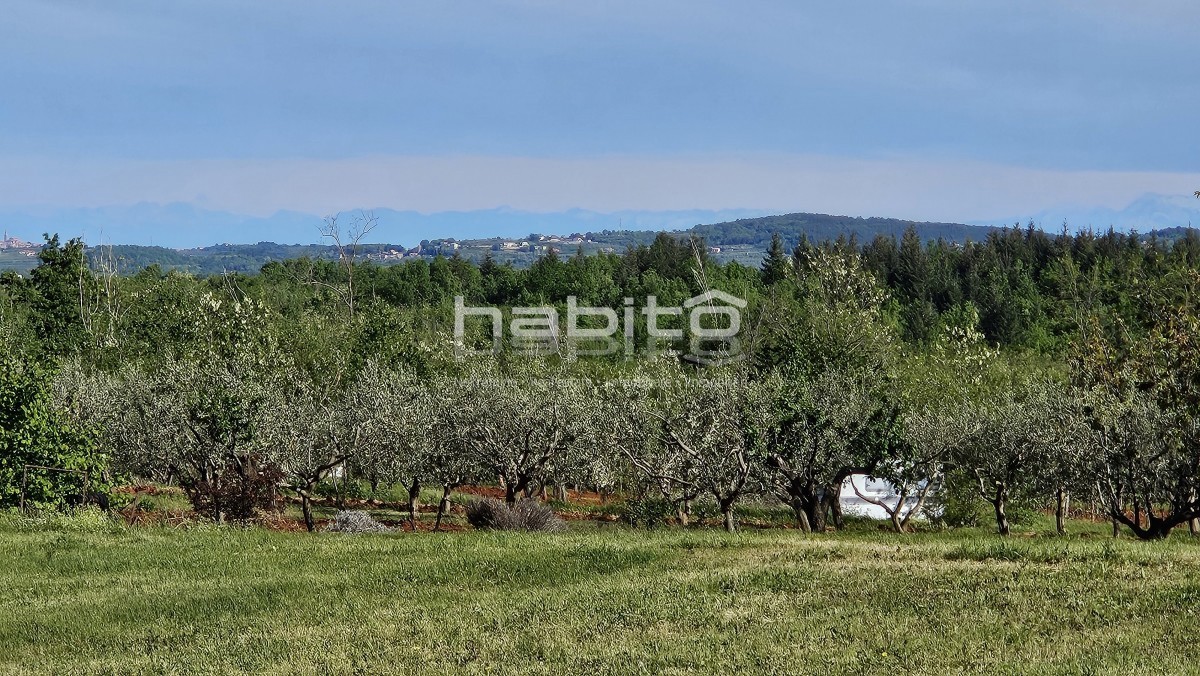 Parenzo 13 km - COSTRUISCI ORA! Terreno edificabile + agricolo con bellissima vista aperta + permesso di costruzione
