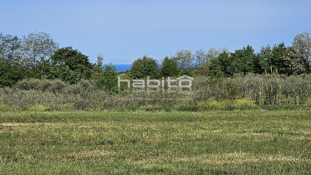 Parenzo 13 km - COSTRUISCI ORA! Terreno edificabile + agricolo con bellissima vista aperta + permesso di costruzione