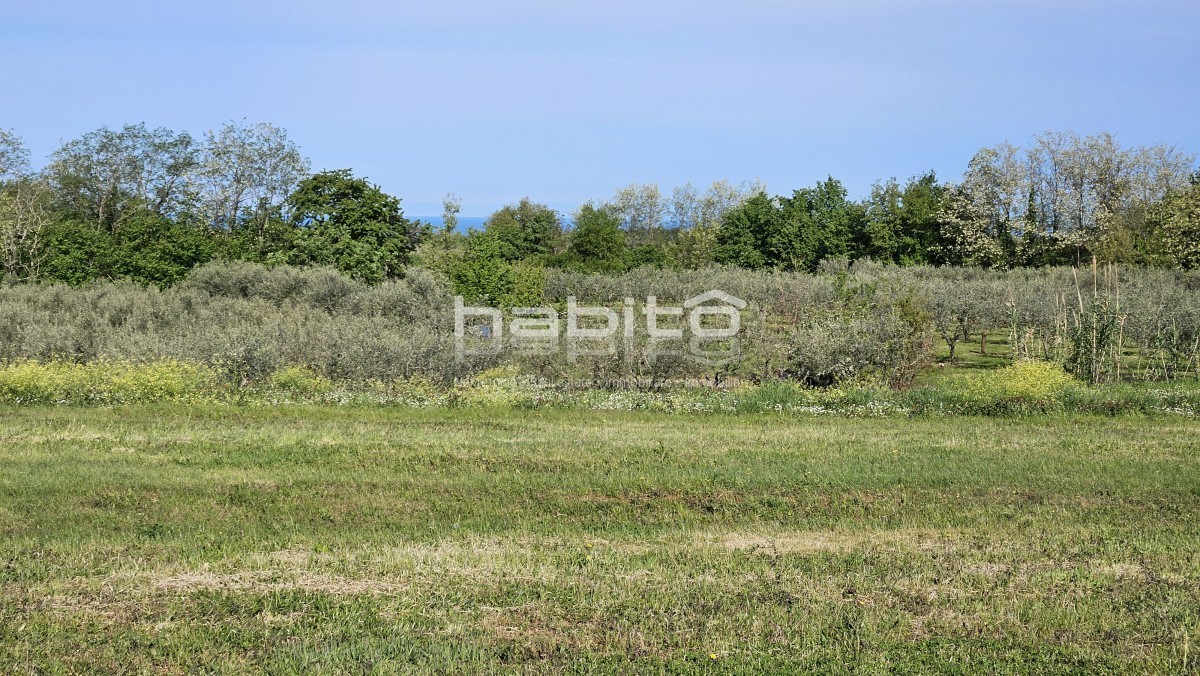 Parenzo 13 km - COSTRUISCI ORA! Terreno edificabile + agricolo con bellissima vista aperta + permesso di costruzione