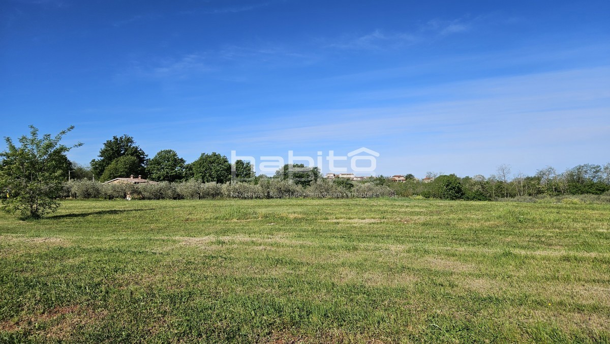 Parenzo 13 km - COSTRUISCI ORA! Terreno edificabile + agricolo con bellissima vista aperta + permesso di costruzione