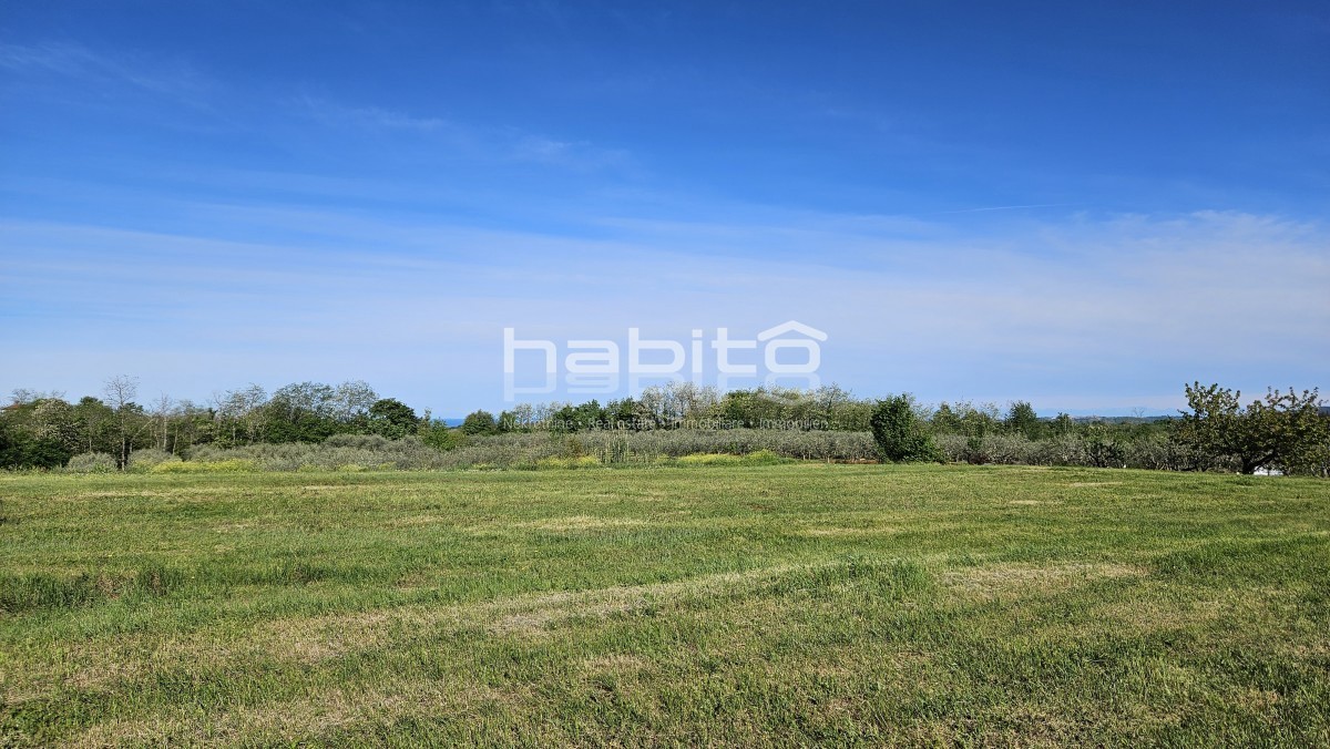 Parenzo 13 km - COSTRUISCI ORA! Terreno edificabile + agricolo con bellissima vista aperta + permesso di costruzione