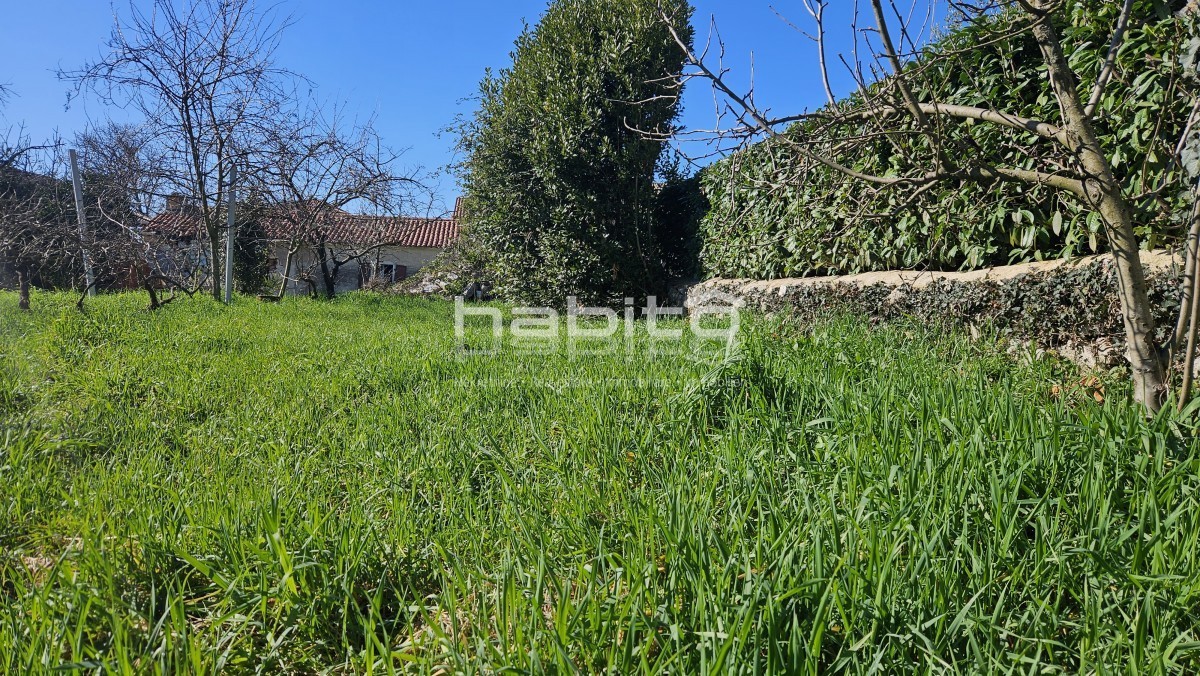 Casale in pietra con progetto per villa con piscina – 250m dal centro, 10km dal mare