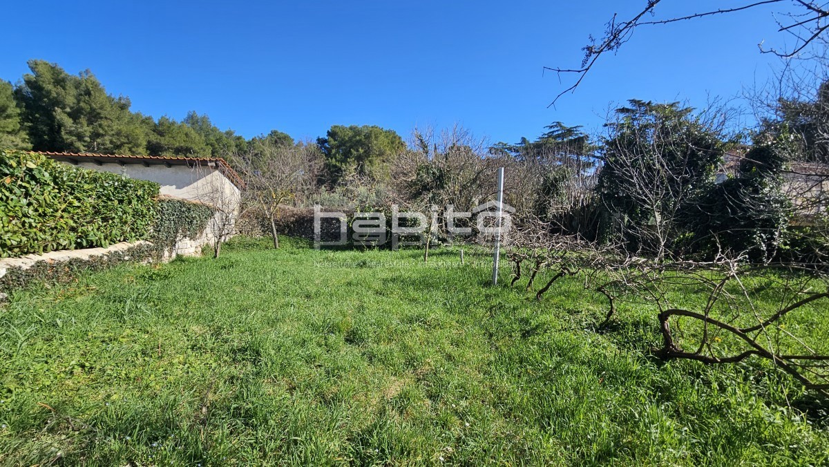 Casale in pietra con progetto per villa con piscina – 250m dal centro, 10km dal mare