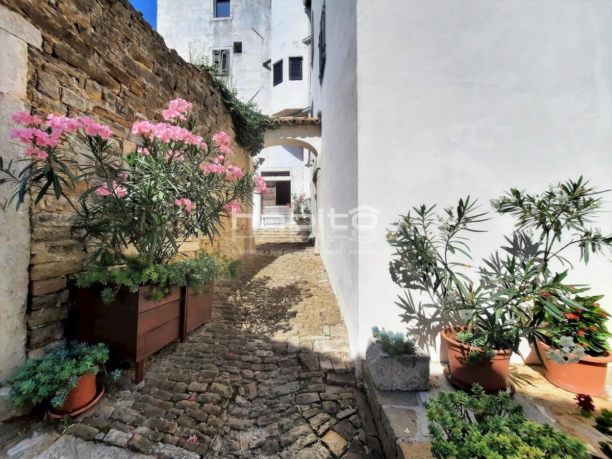 Motovun - Casa in pietra autoctona in posizione tranquilla