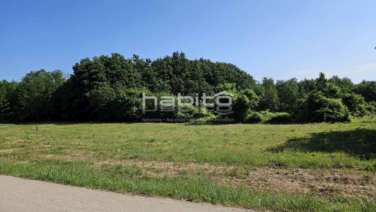 Porec 20 km, dintorni di Tinjan - Terreno edificabile in una posizione tranquilla