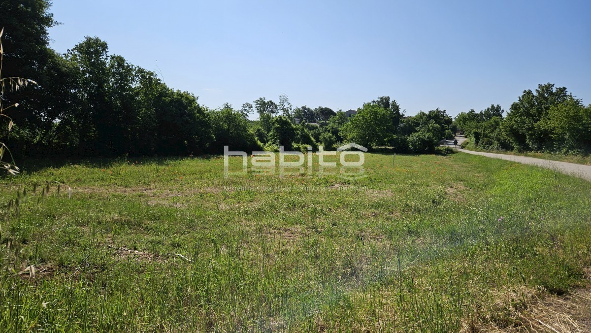 Porec 20 km, dintorni di Tinjan - Terreno edificabile in una posizione tranquilla