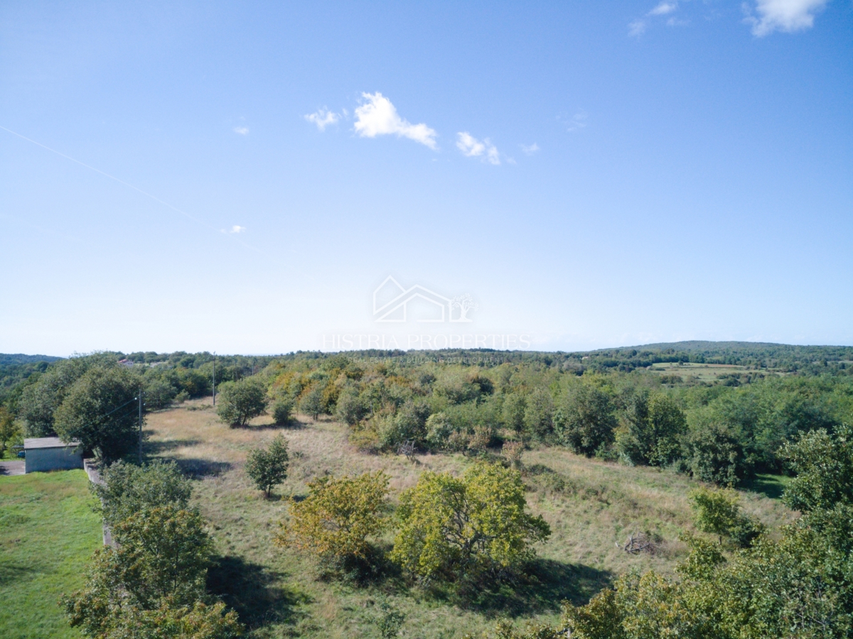 Terreno conveniente per costruire diverse case vicino alla bellissima Grisignana e al paesaggio rilassante