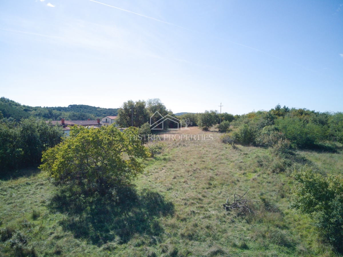 Terreno conveniente per costruire diverse case vicino alla bellissima Grisignana e al paesaggio rilassante