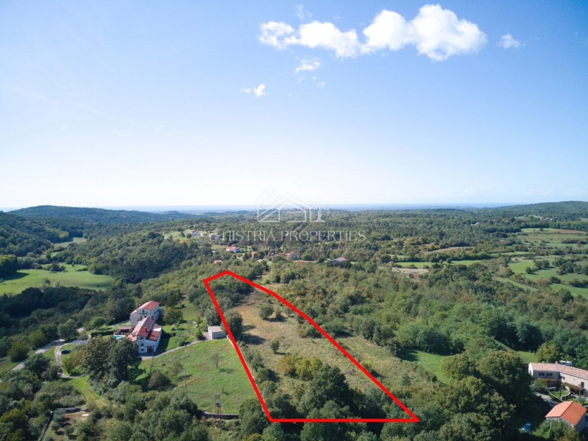 Terreno conveniente per costruire diverse case vicino alla bellissima Grisignana e al paesaggio rilassante