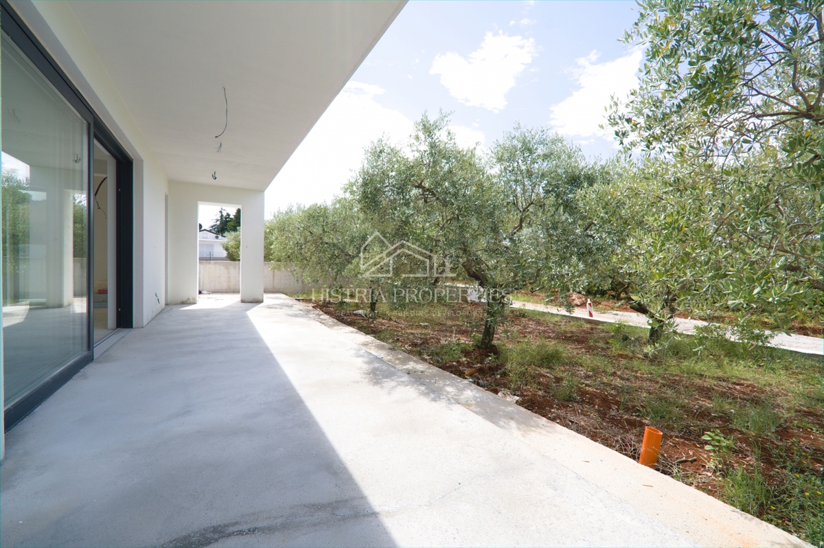 Bellissimo uliveto e costruzione moderna di qualità nella periferia di Parenzo