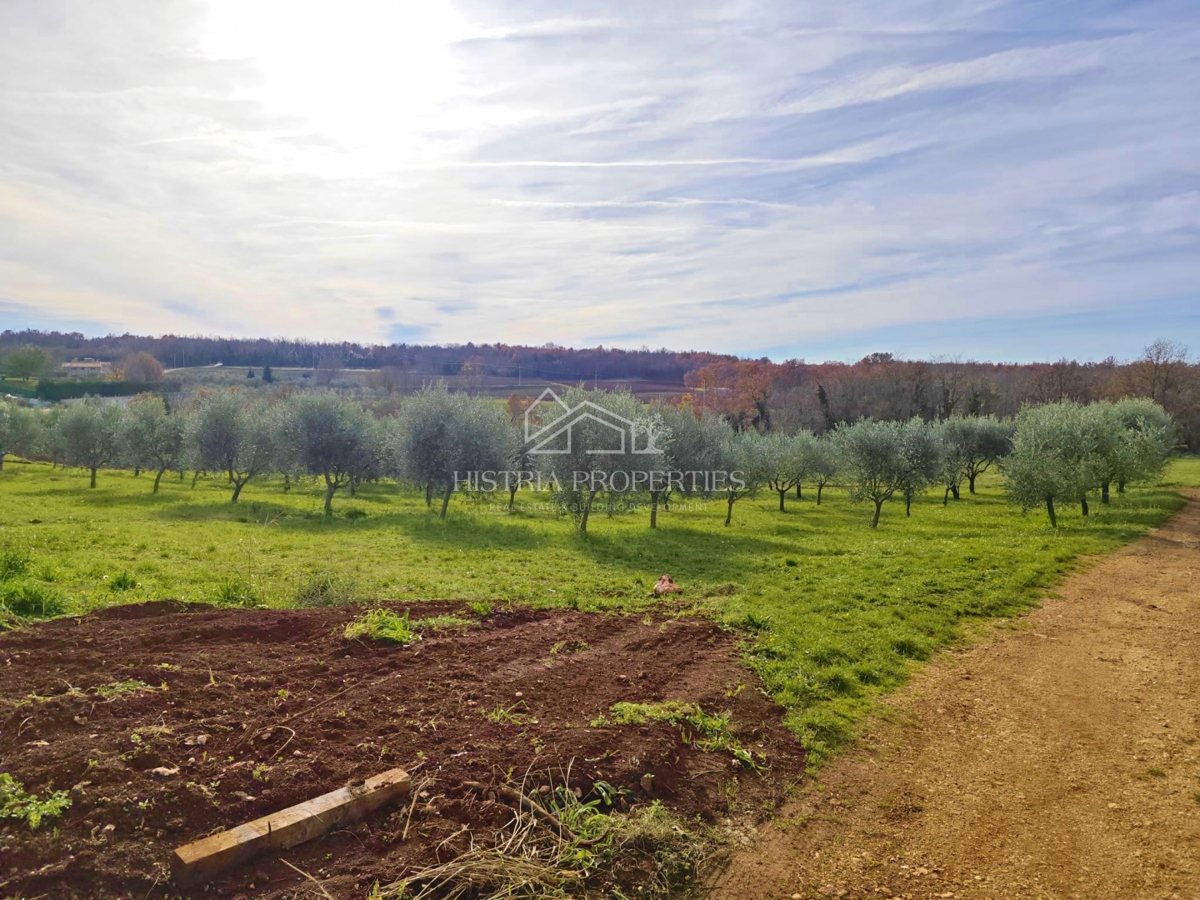 Posizione tranquilla e terreno edificabile adatto per costruire una casa vacanze intima