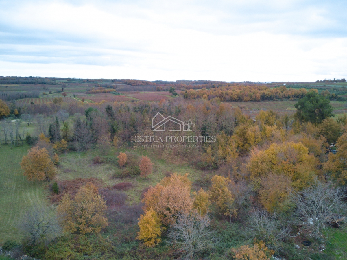 Vista mare e terreno con ottime potenzialità per realizzare una casa vacanze