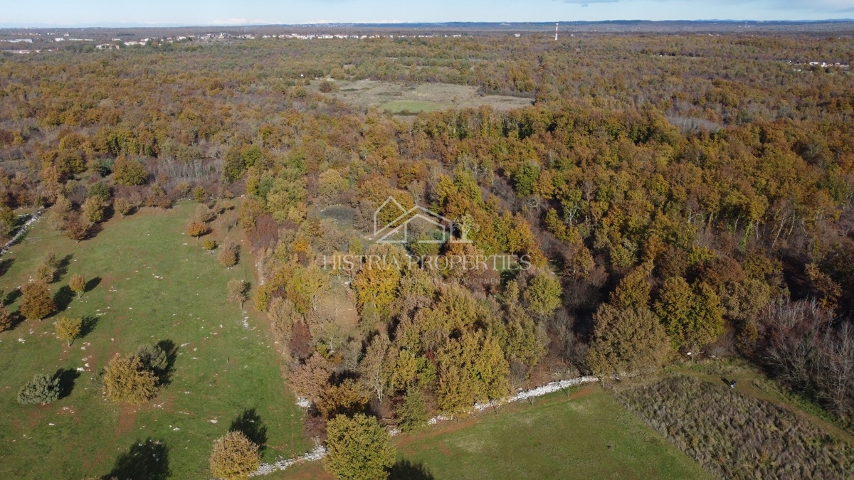Ampio terreno agricolo con strada di accesso e possibilità di allacciamento idrico