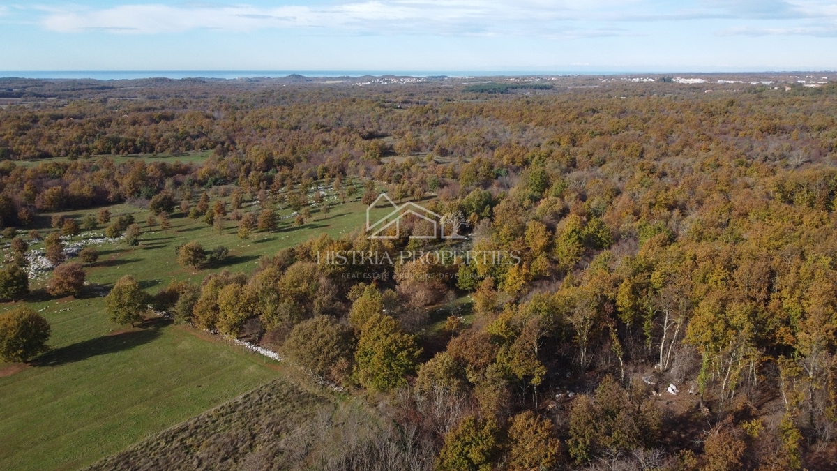 Ampio terreno agricolo con strada di accesso e possibilità di allacciamento idrico