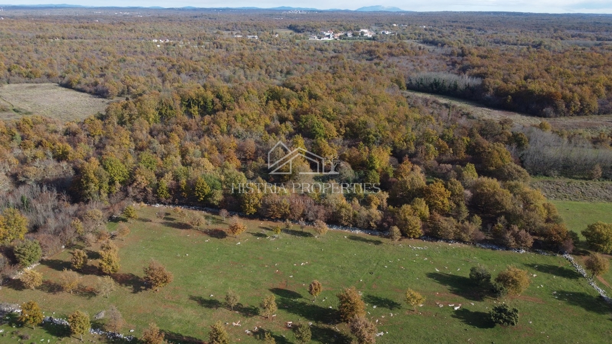Ampio terreno agricolo con strada di accesso e possibilità di allacciamento idrico