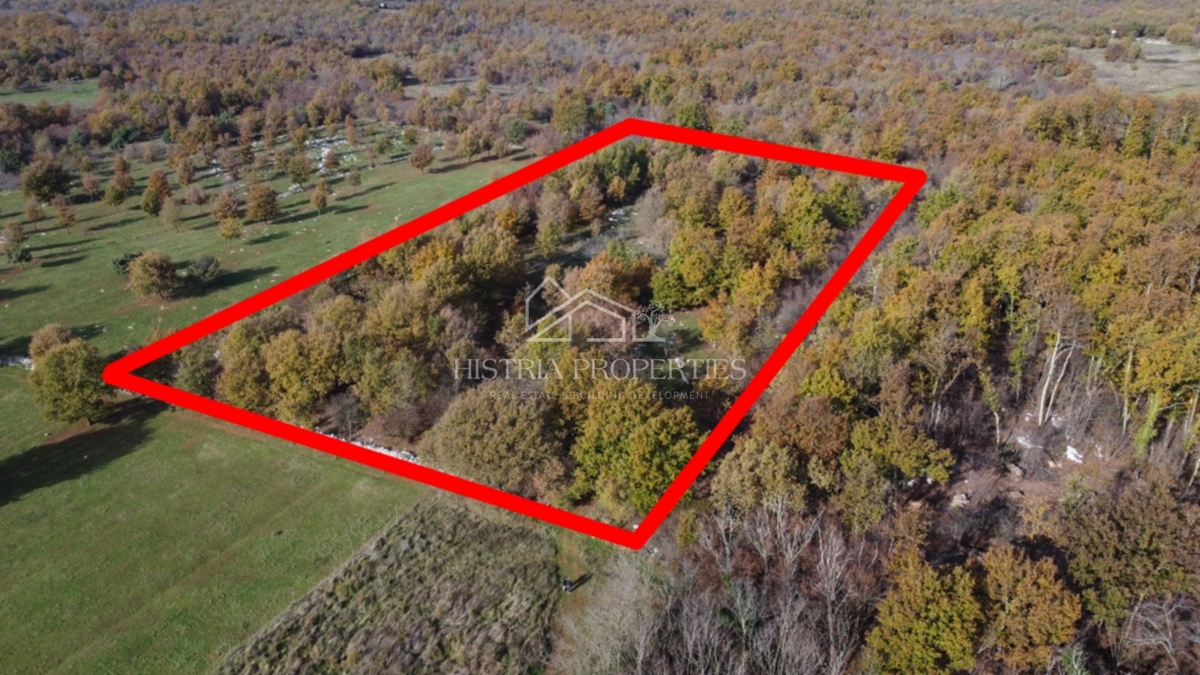 Ampio terreno agricolo con strada di accesso e possibilità di allacciamento idrico