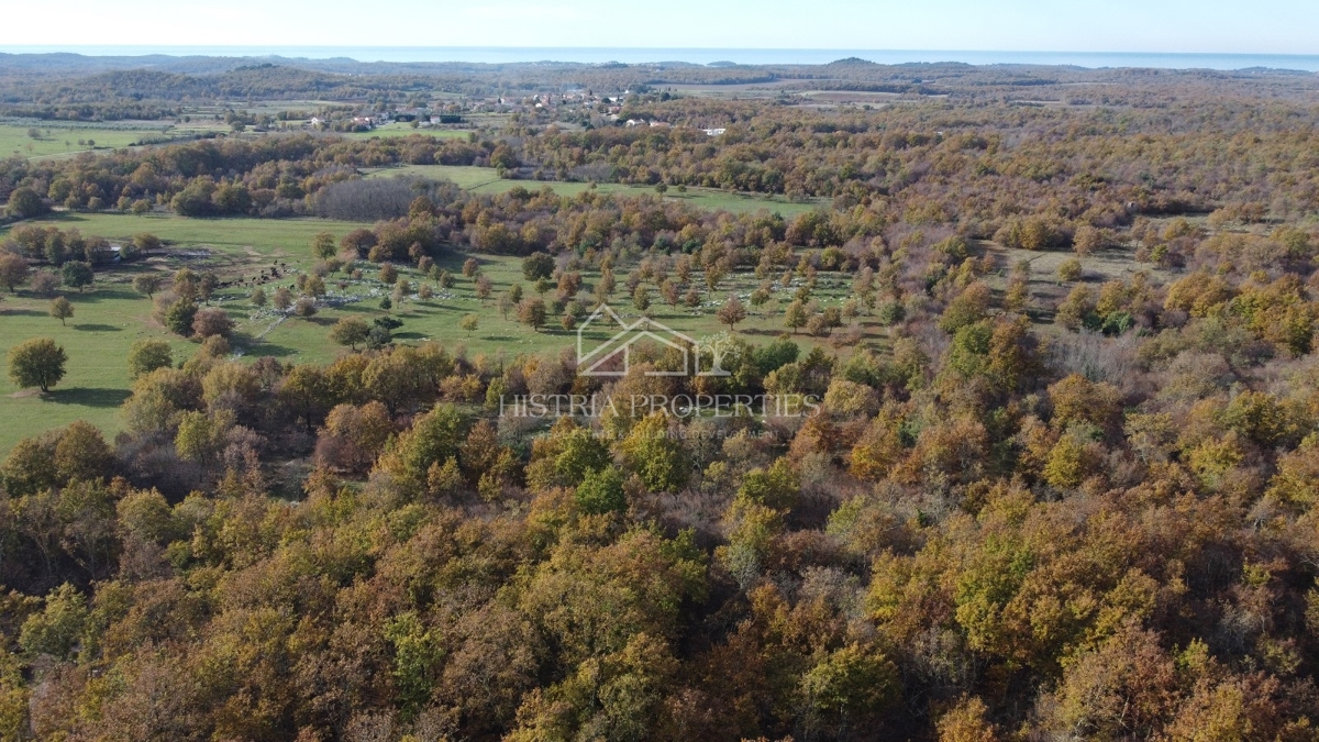 Ampio terreno agricolo con strada di accesso e possibilità di allacciamento idrico