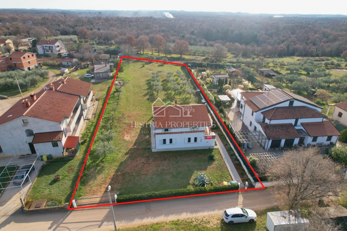 Casa con uliveto su ampio terreno edificabile e appartamento ristrutturato con grande potenziale