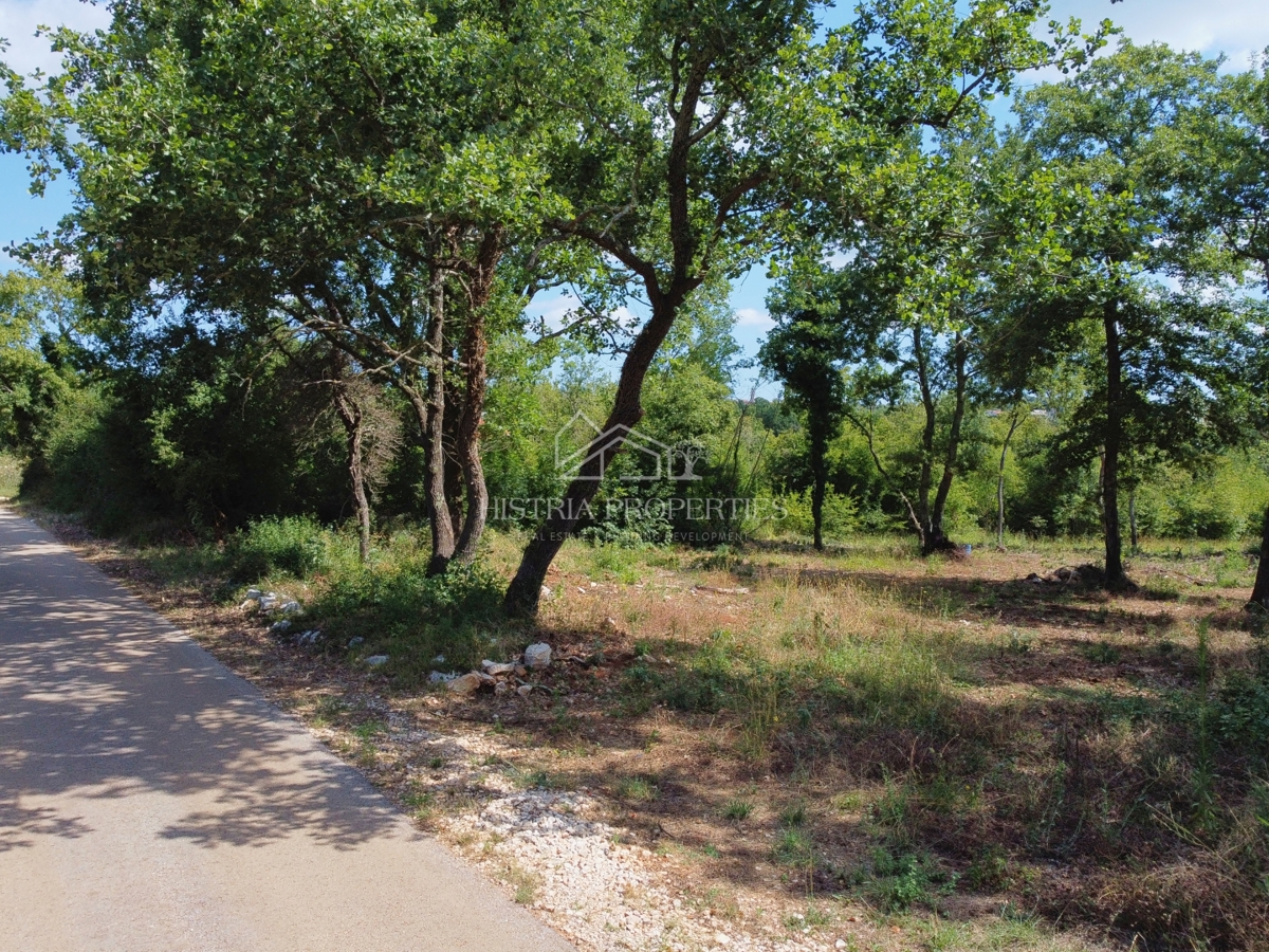 Terreno edificabile in posizione tranquilla con grande potenziale