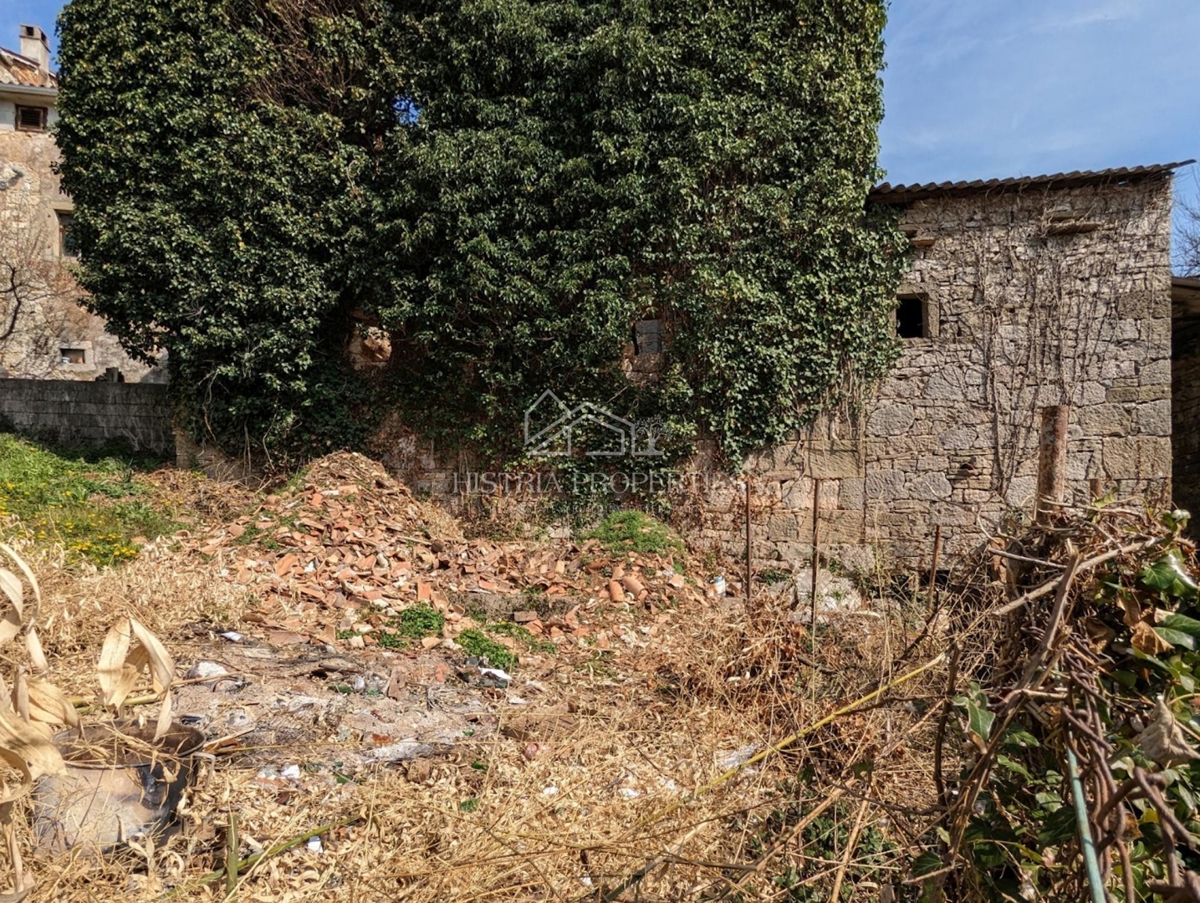 Una storia autoctona istriana con edifici da ristrutturare e tanto potenziale