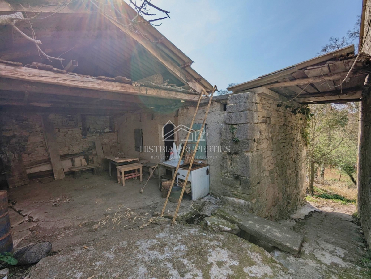 Una storia autoctona istriana con edifici da ristrutturare e tanto potenziale