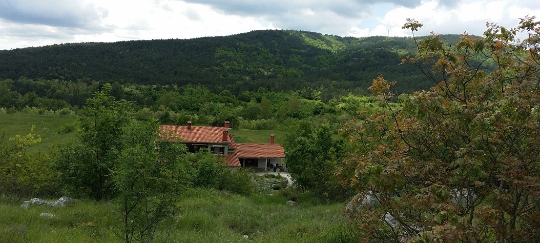 Terreno Šušnjevica, Kršan, 1.700m2