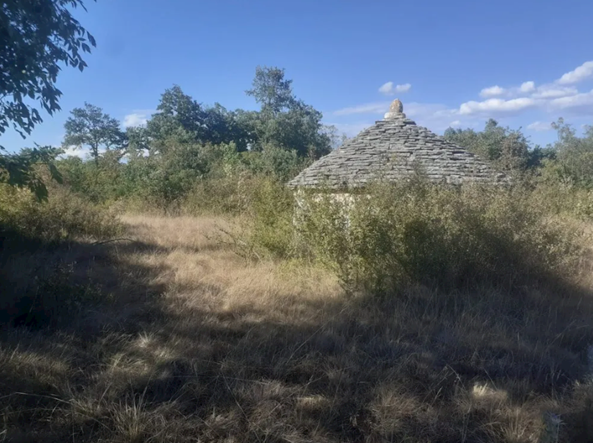 Terreno Svetvinčenat, 140.000m2