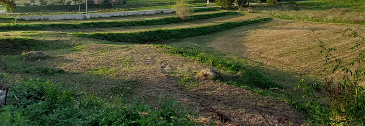 Terreno Lovrin, Pazin - Okolica, 3.100m2