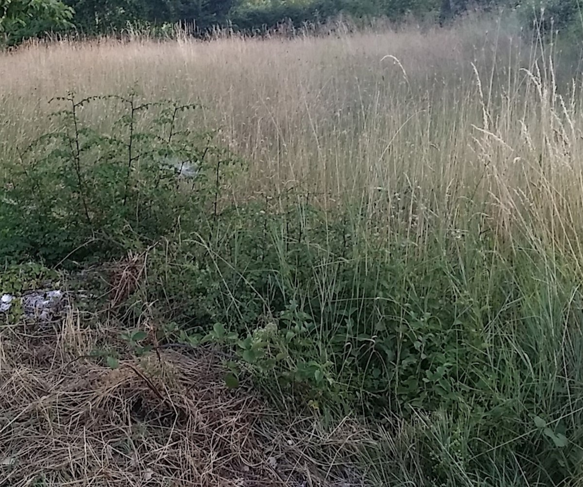 Terreno Labin, 750m2