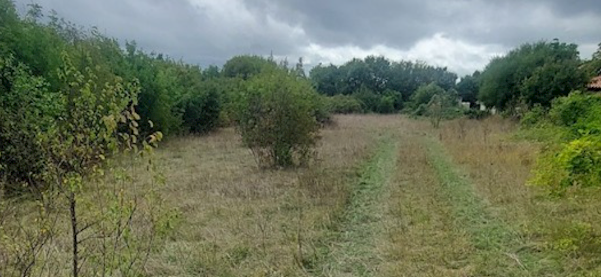 Terreno Nedešćina, Sveta Nedelja, 3.500m2