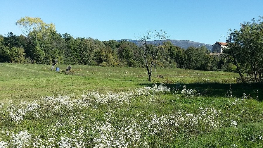 Terreno Labin, 1.000m2